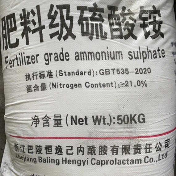 Amonium Sulfate