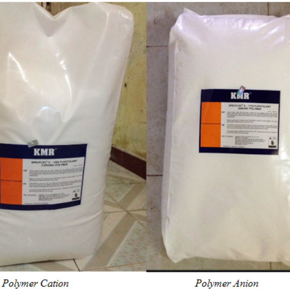 Polymer Ation